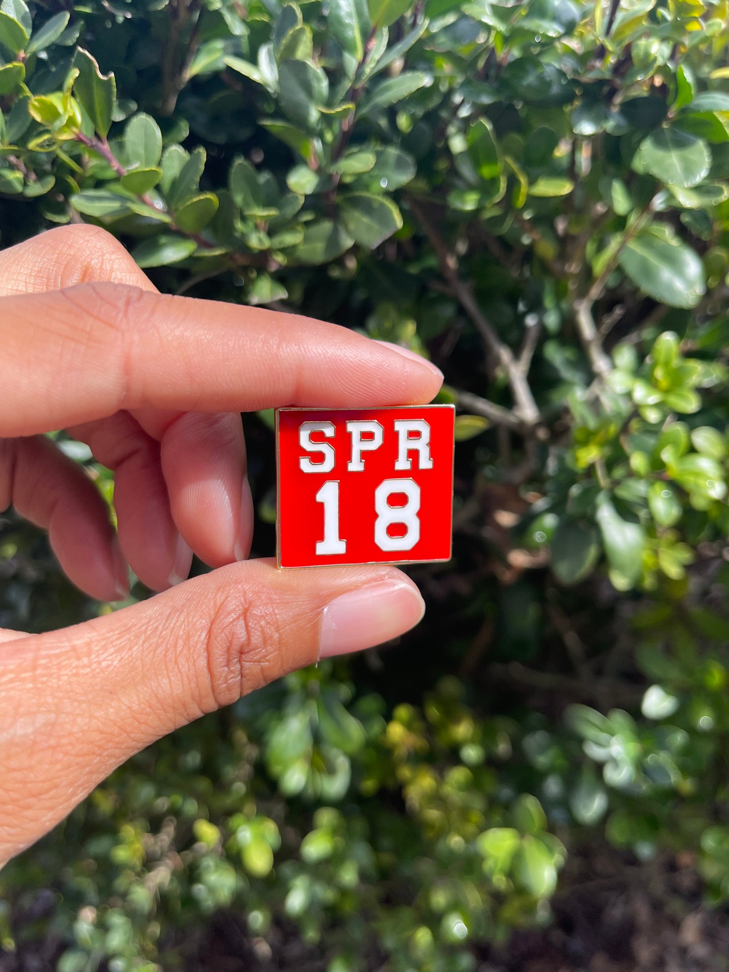 DST - Spring 18 lapel pin - Delta brooch
