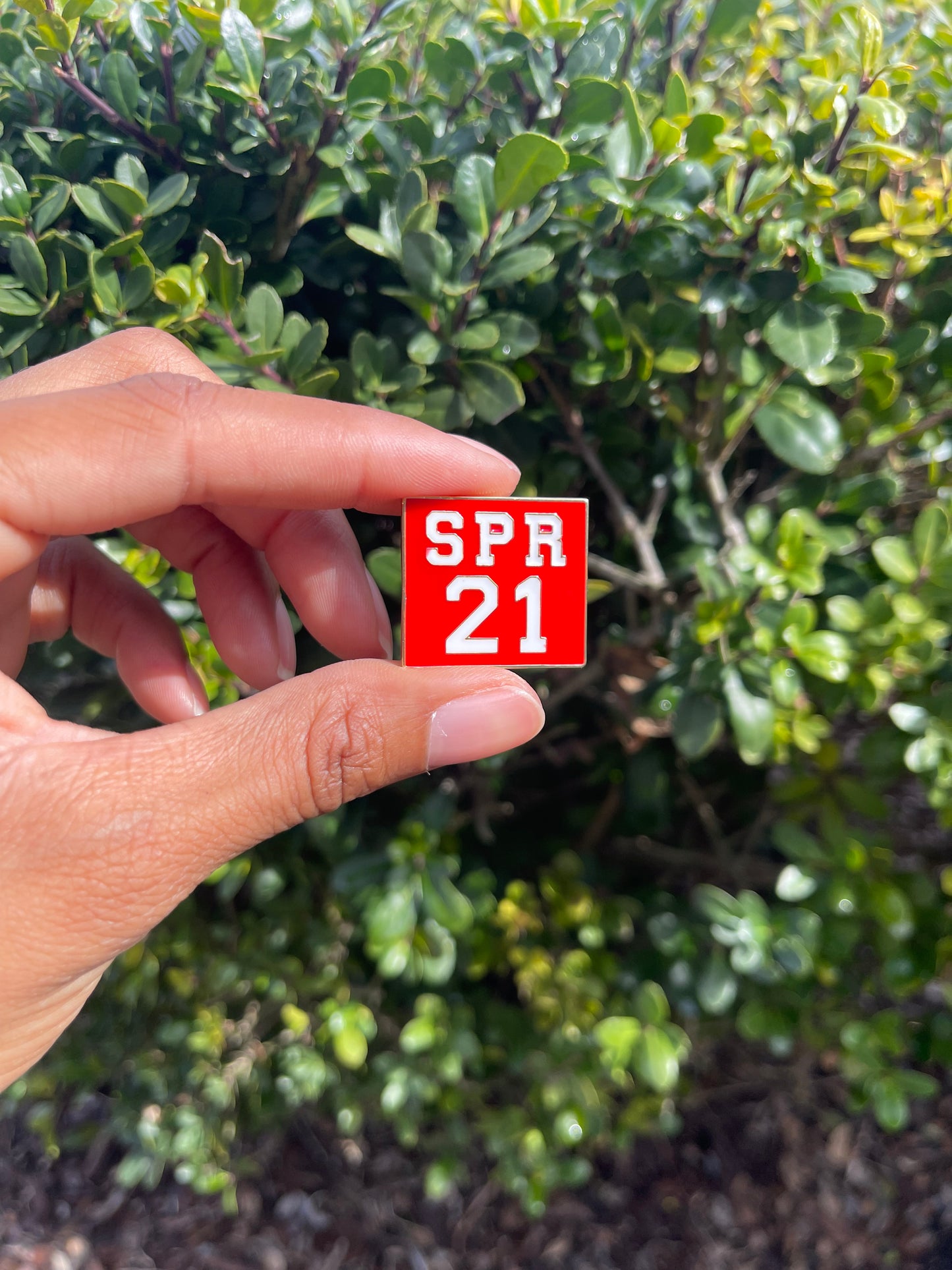 DST - Spring 21 lapel pin - Delta brooch