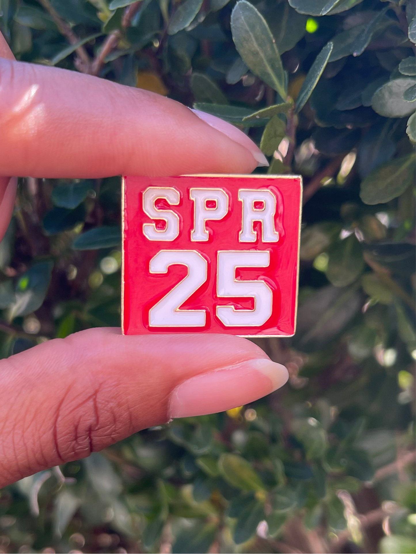 DST - Spring 25 lapel pin - Delta brooch