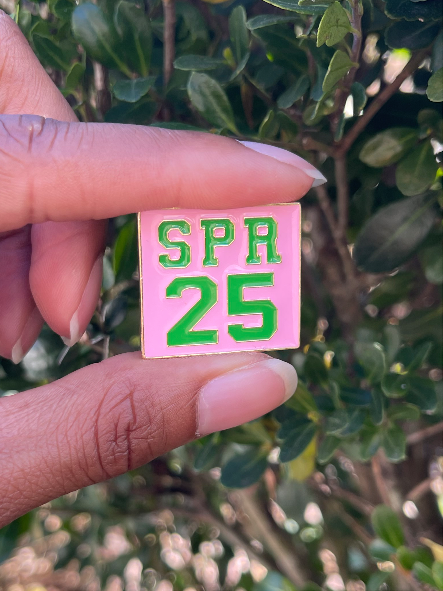 AKA - Spring 25 lapel pin